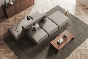 Top view guest room interior with couch and seat, coffee table on carpet