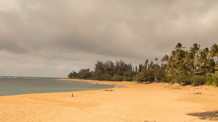 Panoramic landscape from a beach in Kauai, Hawai
