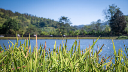 Natural Landscape With Lake Scenery