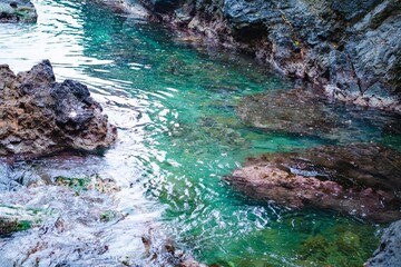 coral reef in the sea