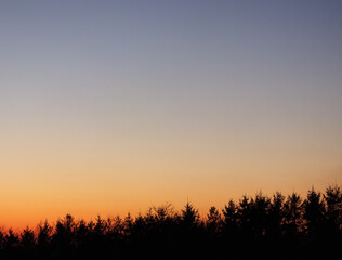夕焼け　木　空　冬