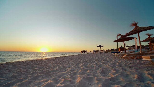 Luxury summer beach resort. Beach reed umbrella from Tunisia. Sea water on the sunset. Vacation and travel concept.