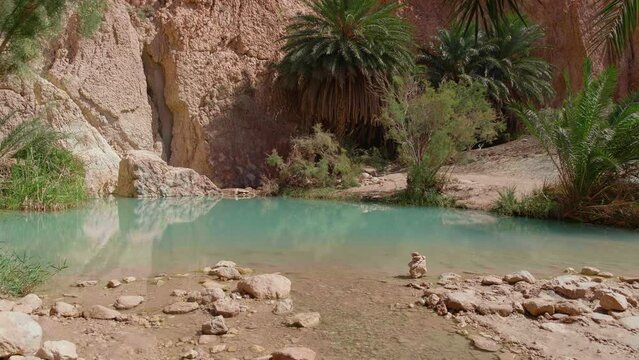 Tunisia, 2019: Chebika mountain oasis. Tozeur Governorate.