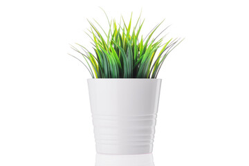 Green plant in a pot at home. Artificial flower vase decoration