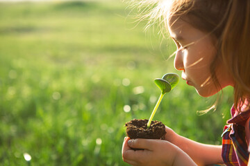 Young green sprout in the hands of a child in the light of the sun on a background of green grass. Natural seedlings, eco-friendly, new life, youth. The concept of development, peace, care. Copy space - Powered by Adobe