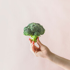 Fototapeta na wymiar Woman hand holding whole raw green broccoli at pale beige wall background. Healthy green vegetable without plastic packaging. Sustainable organic food from garden. Front view.