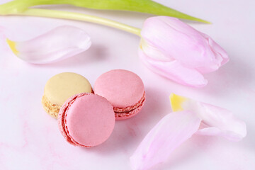 French sweet cookies macarons macaroons and tulip flower on marble background.