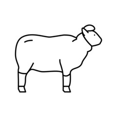 wool sheep line icon vector illustration