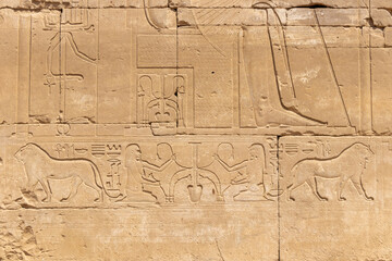 Fototapeta na wymiar Relief details and Egyptian hieroglyphs at Karnak temple complex in Luxor, Egypt