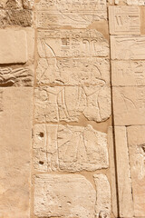 Relief details and Egyptian hieroglyphs at Karnak temple complex in Luxor, Egypt