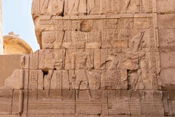 Relief details and Egyptian hieroglyphs at Karnak temple complex in Luxor, Egypt