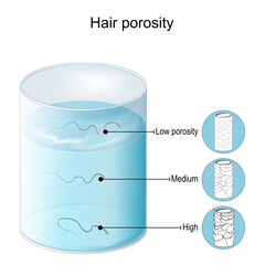 hair porosity test. Hair float in glass with water. - obrazy, fototapety, plakaty