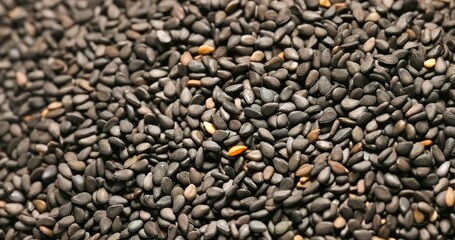 Closeup photo of natural dried black seeds rotating
