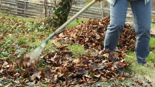 Close up of unrecognizable person working outdoors in the garden, raking leaves. Footage made in Sweden.