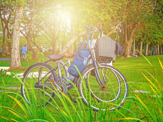 bicycle in the park on the green grass