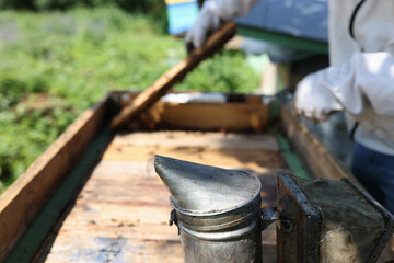 Beekeeper in front of hives with smoker