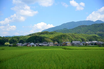 日本の田舎　原風景