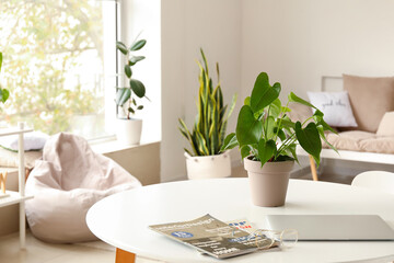 Table with houseplant, laptop and magazines in light living room
