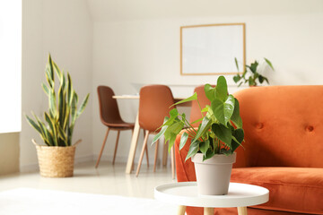 Table with houseplant near red sofa in living room