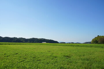 Fototapeta na wymiar 日本の田舎　原風景