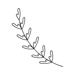Branch with leaves. Floral sign decoration book text. Field herbs. Linear sketch of a garden plant. Hand drawn vector illustration in doodle style. Elegant isolated element.