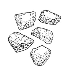 Soy texturate vector. Artificial meat