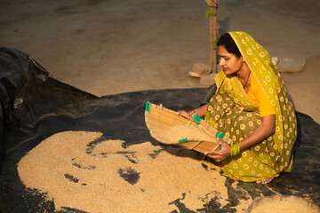 Rural Indian woman using a winnowing basket strainer to clean the grain.