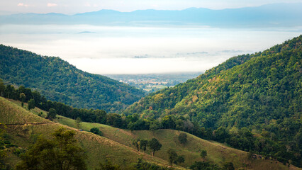 Beautiful foggy morning on the view point above the deep forest valley in Nan, Thailand.