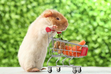 Funny Guinea pig and shopping cart with food on table outdoors