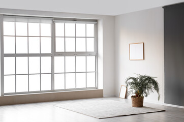 View of empty room with houseplant, frames and carpet