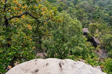 A beautiful landscape view of Ushakothi temple forest from top of mountain. - 488341747