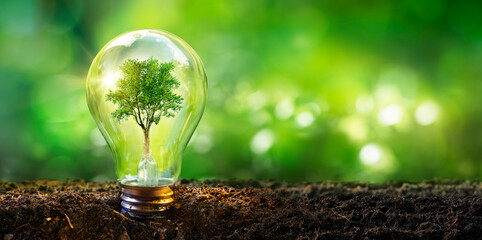 Lamp With Tree - Ecology Energy Development Concept - obrazy, fototapety, plakaty
