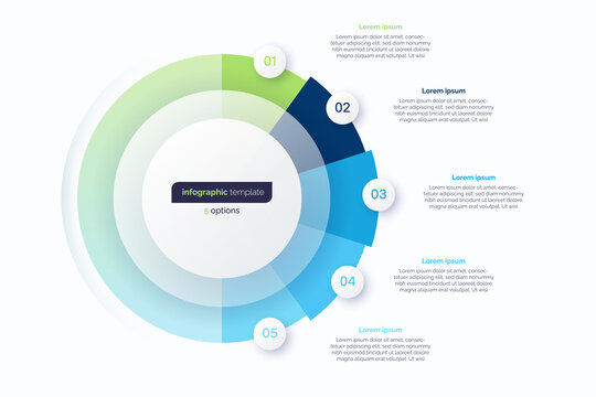 Five option circle infographic design template. Vector illustration