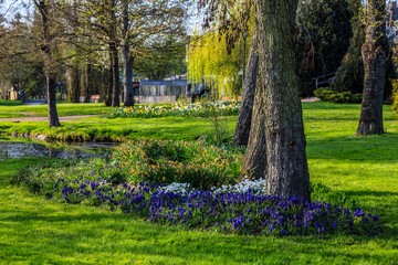 Park in Spring