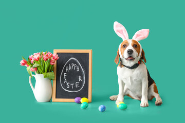 Funny Beagle dog, chalk board with text HAPPY EASTER, tulips in vase and eggs on green background