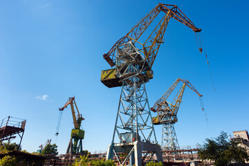 Fototapeta na wymiar Three huge port cranes at a shipyard