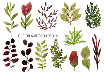 a set of spring leaf watercolor collection