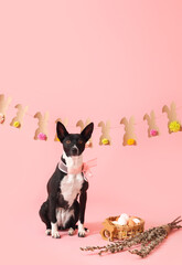 Cute dog with Easter eggs, willow branches and decor on pink background