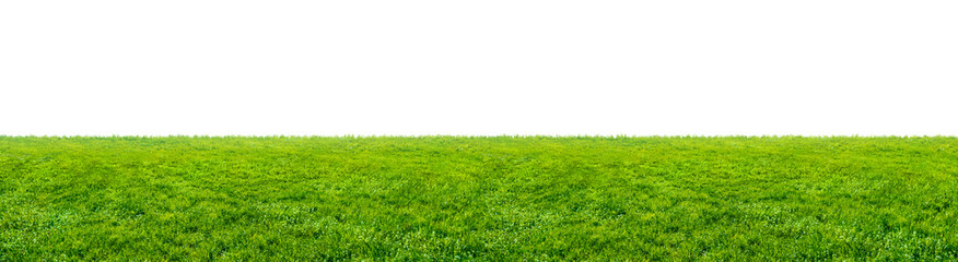 groen grasveld geïsoleerd op witte achtergrond