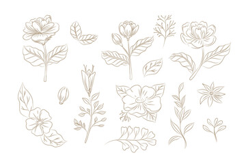 Doodles Herbs and flowers, set of hand-drawn flowers, floral set of wildflowers and herbs, vector objects isolated on a white background. One Line Drawing Vector Flowers Print Set. Botanical 