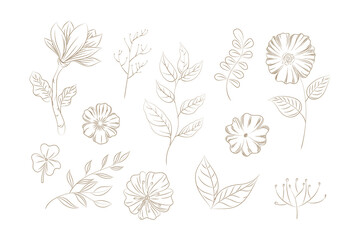 Doodles Herbs and flowers, set of hand-drawn flowers, floral set of wildflowers and herbs, vector objects isolated on a white background. One Line Drawing Vector Flowers Print Set. Botanical 