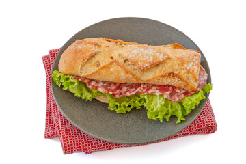 dry sausage sandwich isolated in a plate on a white background