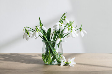 Spring snowdrops (Galanthus Nivalis) in the vase.