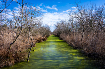 Marais du Vigueirat