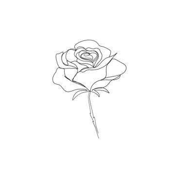 line art drawing of flowers. set line art set of flower a rose. minimalism sketch, idea for invitation, design of instagram stories and highlights icons