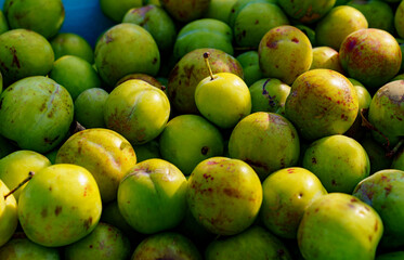 Texture of green apricots