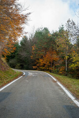Road through mountains with forests in contrasting red and green autumn colors