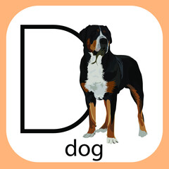 vector illustration of a realistic dog on an isolated background with the word dog, an educational card with a realistic image of a dog