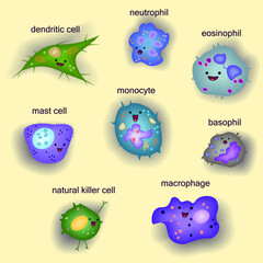 Set of innate immune system cells, cartoon cute funny vector illustration - obrazy, fototapety, plakaty
