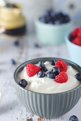 A bowl with Greek yogurt with berries